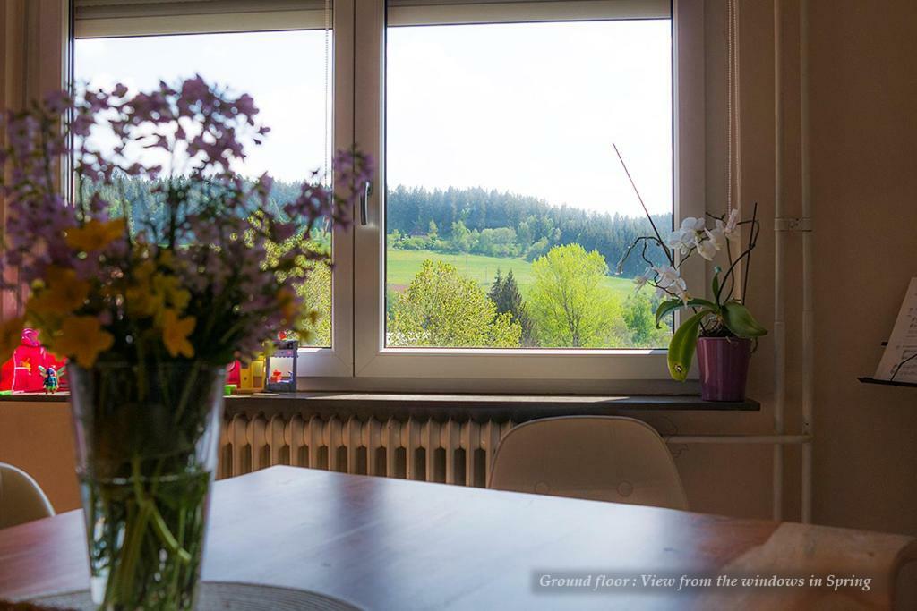 Entire House In Schwarzwald With Mountain View, Private Gym,Sauna And Garden Villa Unterkirnach Eksteriør billede